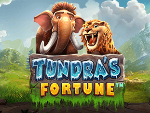 Tundra's Fortune screenshot